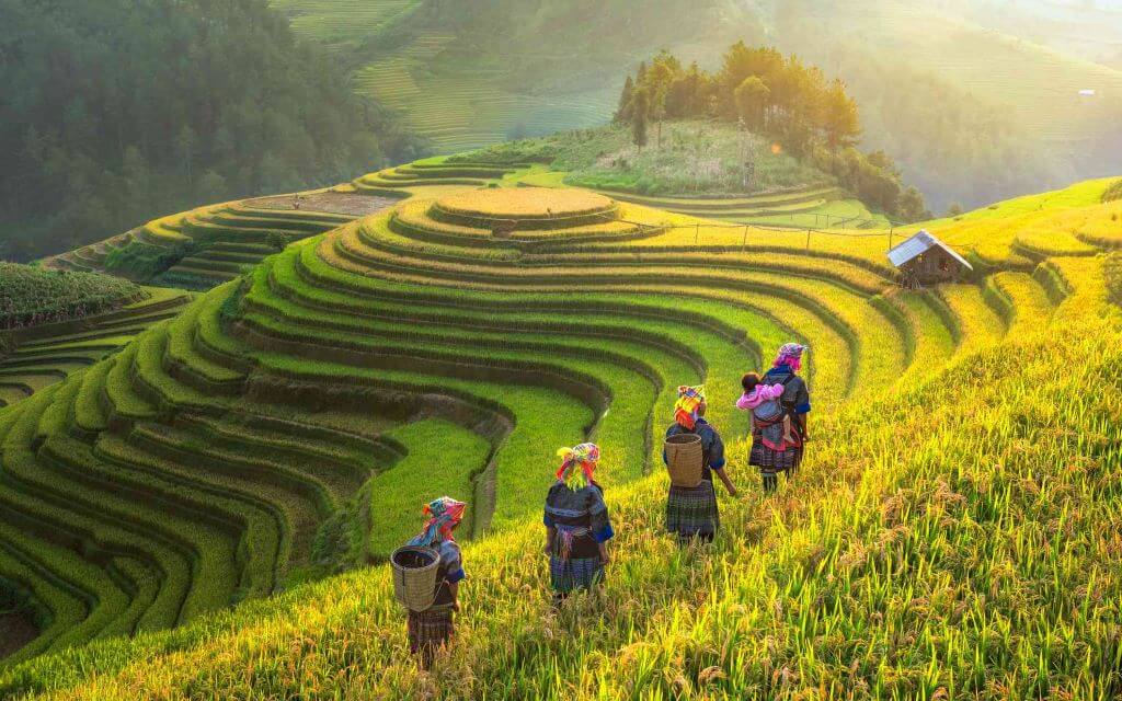 Hanoi Muslim Travel Package 7 Days – 6 Nights
